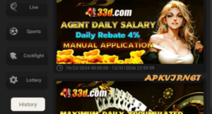 33d game
